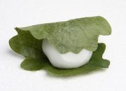 Resep Kashiwa Mochi