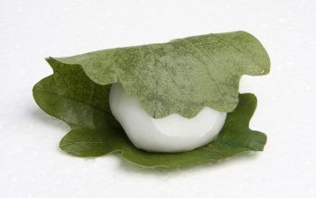 Resep Kashiwa Mochi