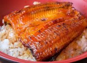 Resep Unagi: Nikmati Lezatnya Ikan Belut Jepang di Rumah