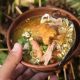 Resep Soto Kwali: Nikmatnya Kuah Gurih yang Menggoda Selera